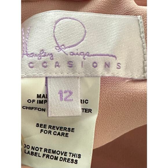 HAYLEY PAIGE OCCASIONS Formal Bridesmaid Dress Gown 52004 Rose Pink - Sz 12 NWT - Picture 6 of 8